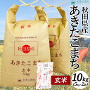 秋田県産 あきたこまち 玄米10kg（5kg×2袋）令和3年産 【古代米プレゼント付き】