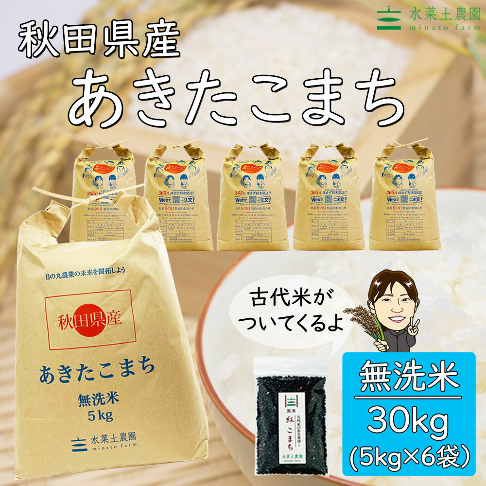 秋田県産 あきたこまち 無洗米30kg（5kg×6袋）令和3年産 【古代米プレゼント付き】