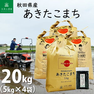 【精米】秋田県産 あきたこまち 20kg（5kg×4袋）令和4年産 古代米お試し袋付き