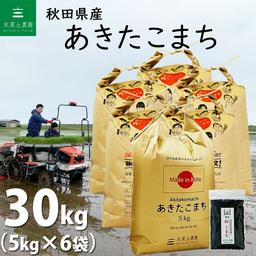 秋田県産 あきたこまち 精米30kg（5kg×6袋）令和4年産 【古代米プレゼント付...