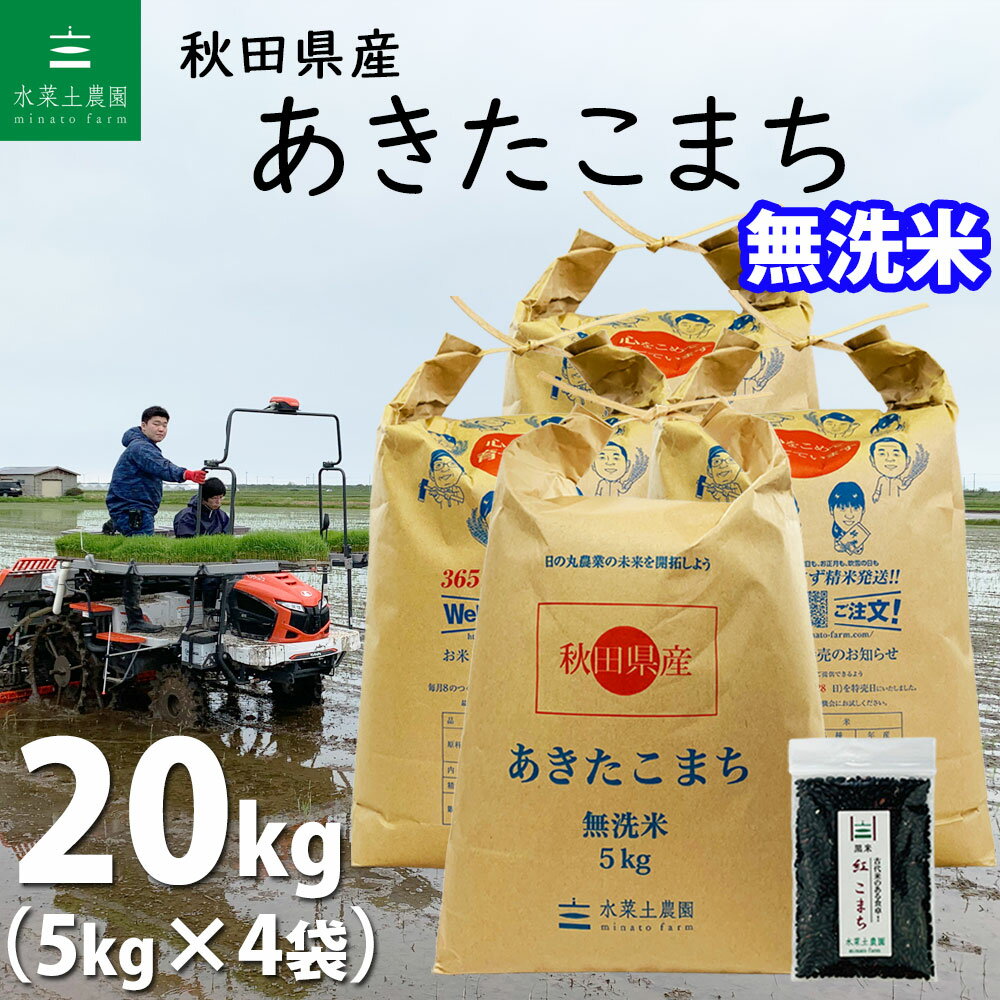 秋田県産 あきたこまち 無洗米20kg（5kg×4袋）令和4年産【古代米プレゼント付き】