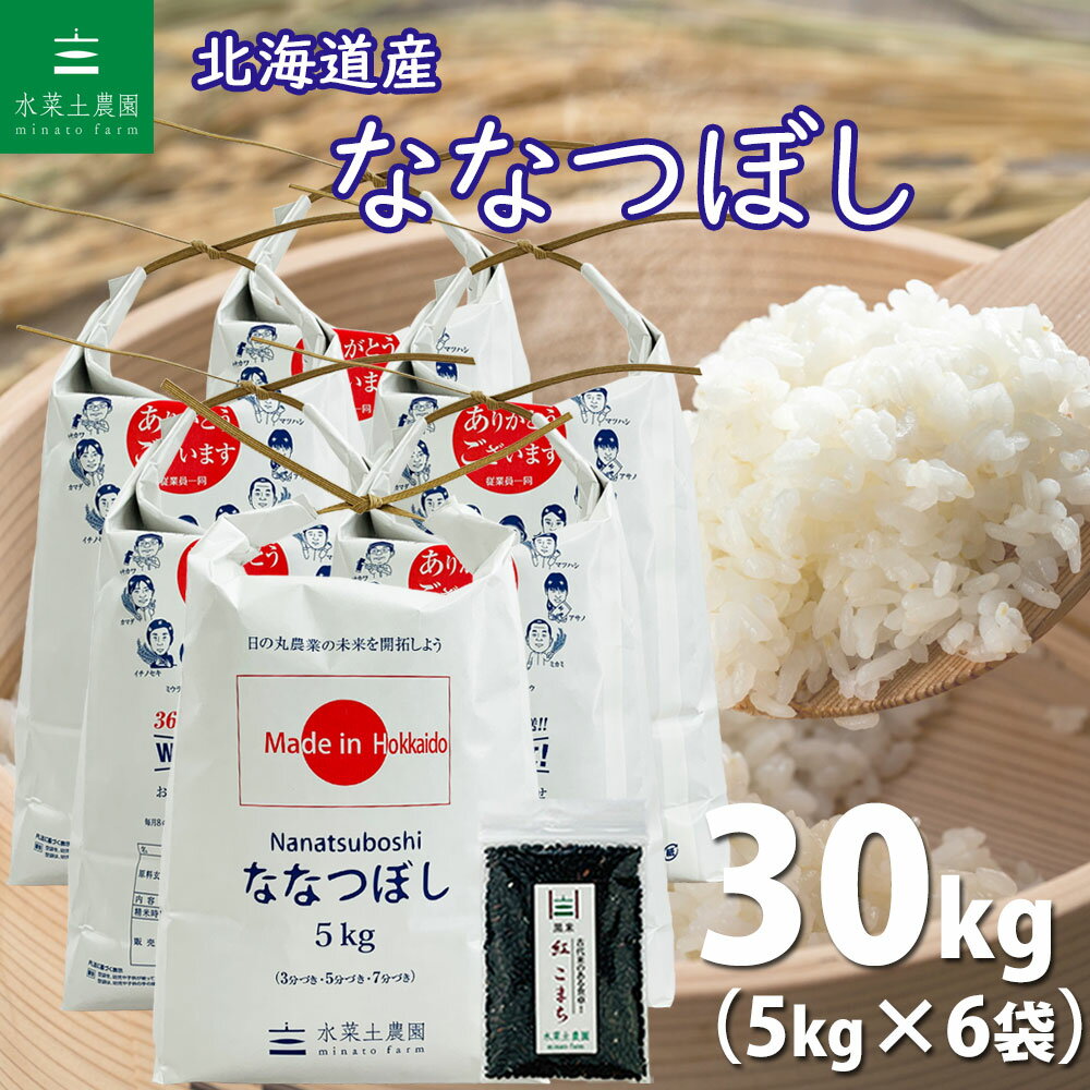 【精米】北海道産 ななつぼし 30kg（5kg×6袋） 令和4年産 古代米お試し袋付...