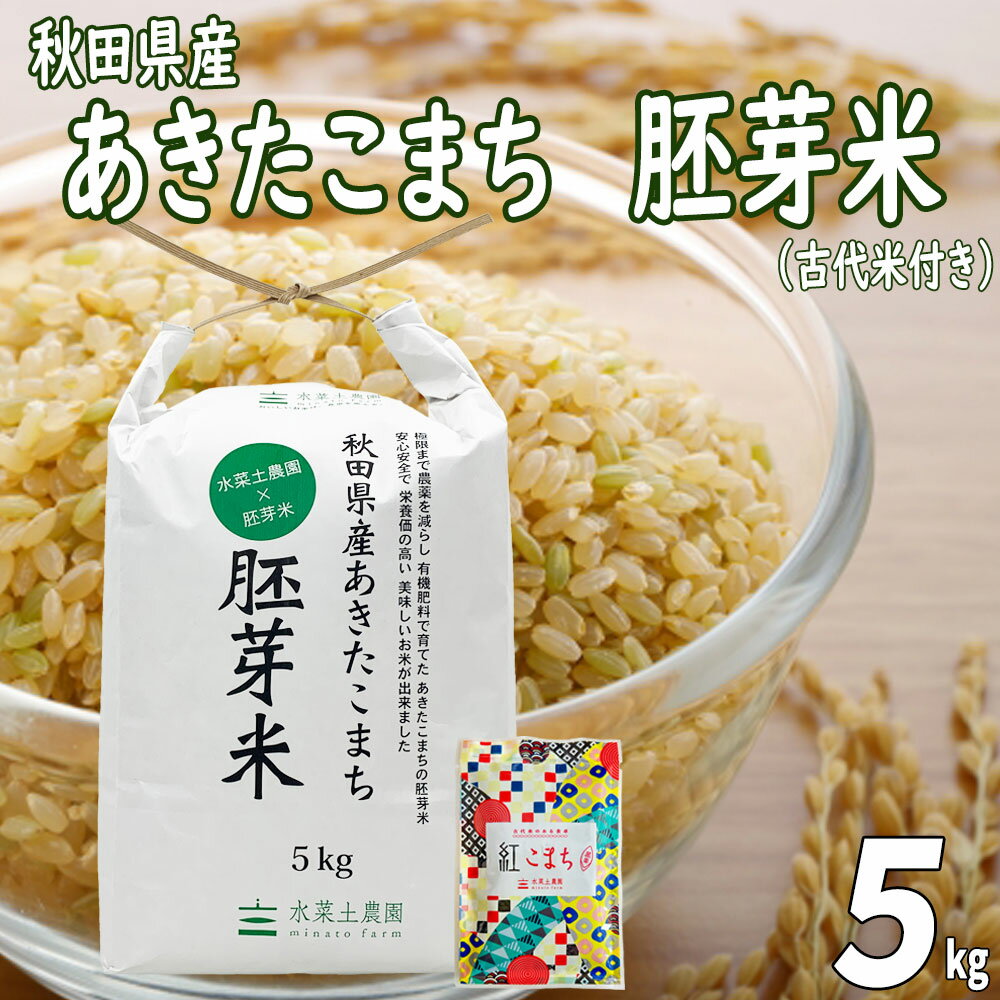 秋田県産 あきたこまち 水菜土農園の胚芽米 5kg 令和5年産【古代米プレゼント付き】