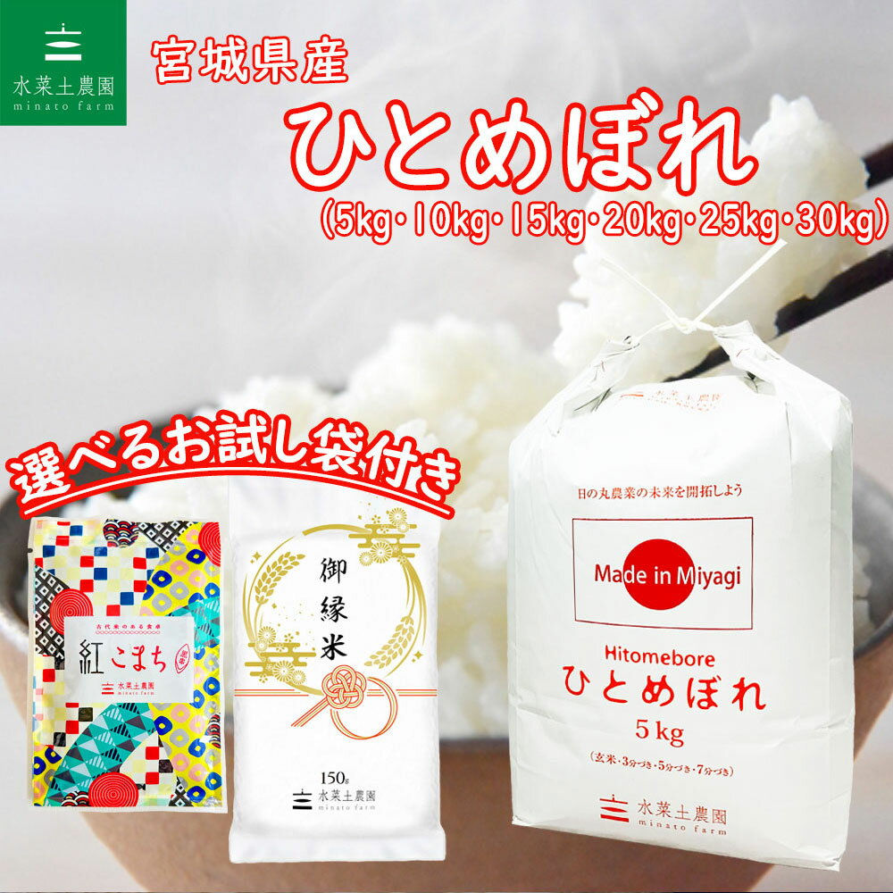 宮城産 ひとめぼれ 宮城県産 ひとめぼれ 令和5年産 選べるお試し袋付き