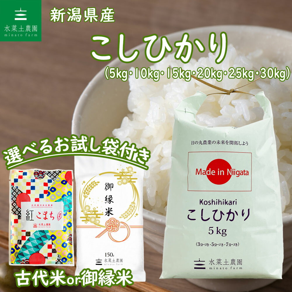 新潟県産 こしひかり 令和5年産 選べるお試し袋付き