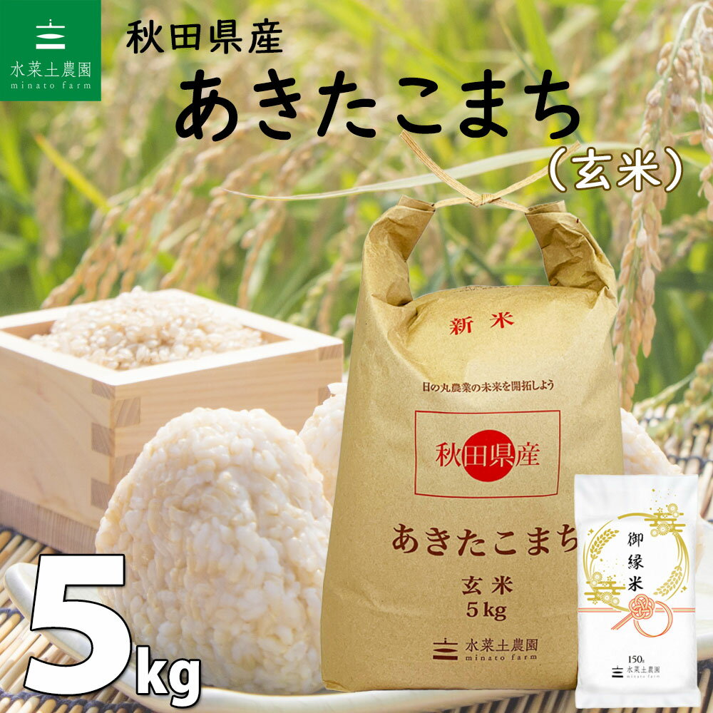 秋田県産 あきたこまち 玄米5kg 令和5年産 御縁米 縁結び 150g付き