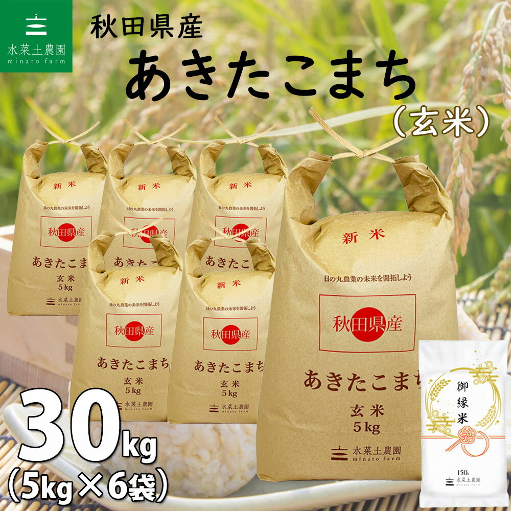 秋田県産 あきたこまち 玄米30kg（5kg×6袋）令和5年産 御縁米（縁結び）150g付き