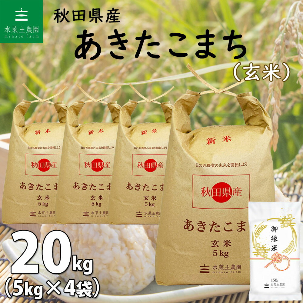 【玄米】秋田県産 あきたこまち 20kg 5kg 4袋 令和5年産 御縁米 縁結び 150g付き