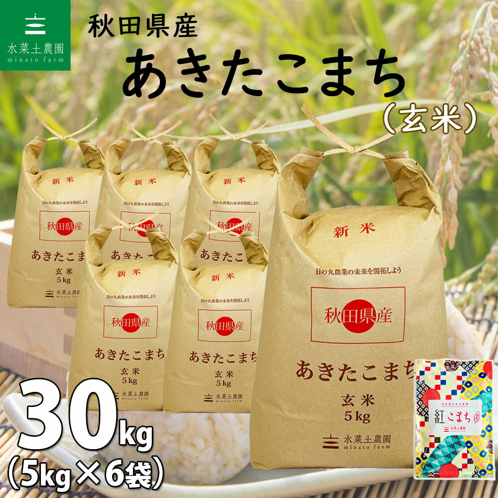 【玄米】秋田県産 あきたこまち 30kg 5kg 6袋 令和5年産 古代米お試し袋付き