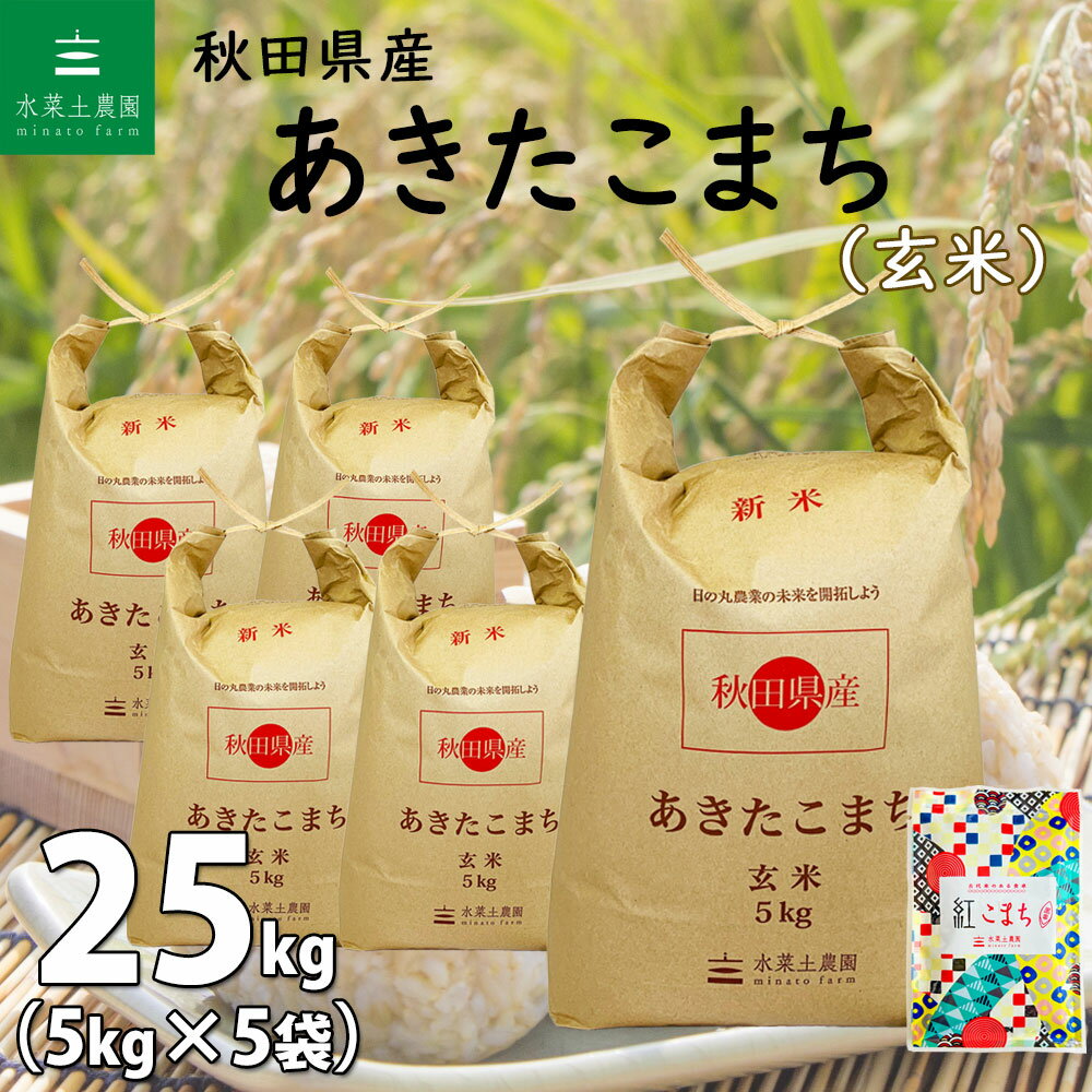 【玄米】秋田県産 あきたこまち 25kg 5kg 5袋 令和5年産 古代米お試し袋付き