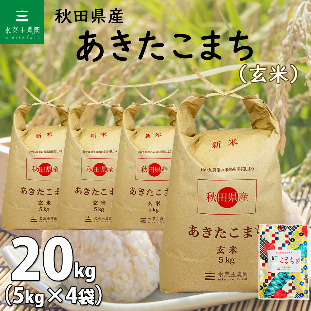 【玄米】秋田県産 あきたこまち 20kg（5kg×4袋）令和5年産 古代米お試し袋付き