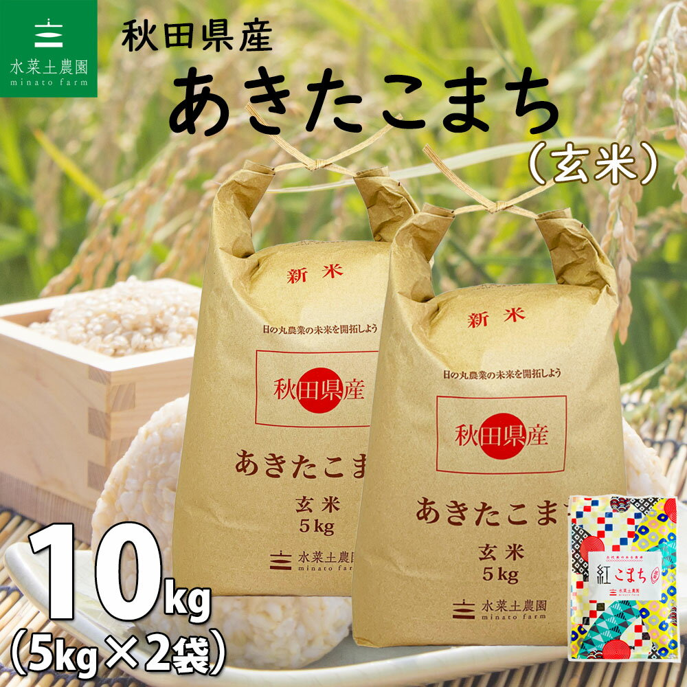 秋田県産 あきたこまち 玄米10kg（5kg×2袋）令和5年産 古代米お試し袋付き