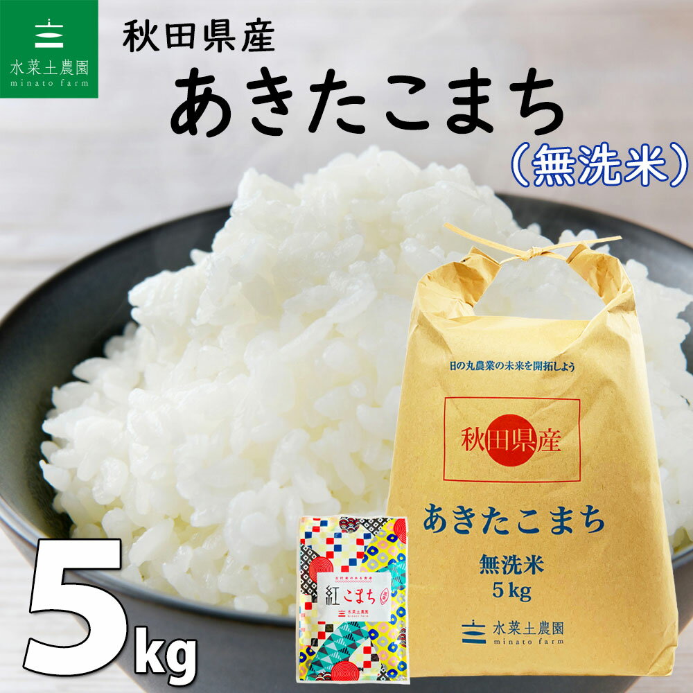 【無洗米】 秋田県産 あきたこまち 5kg 令和5年産 古代