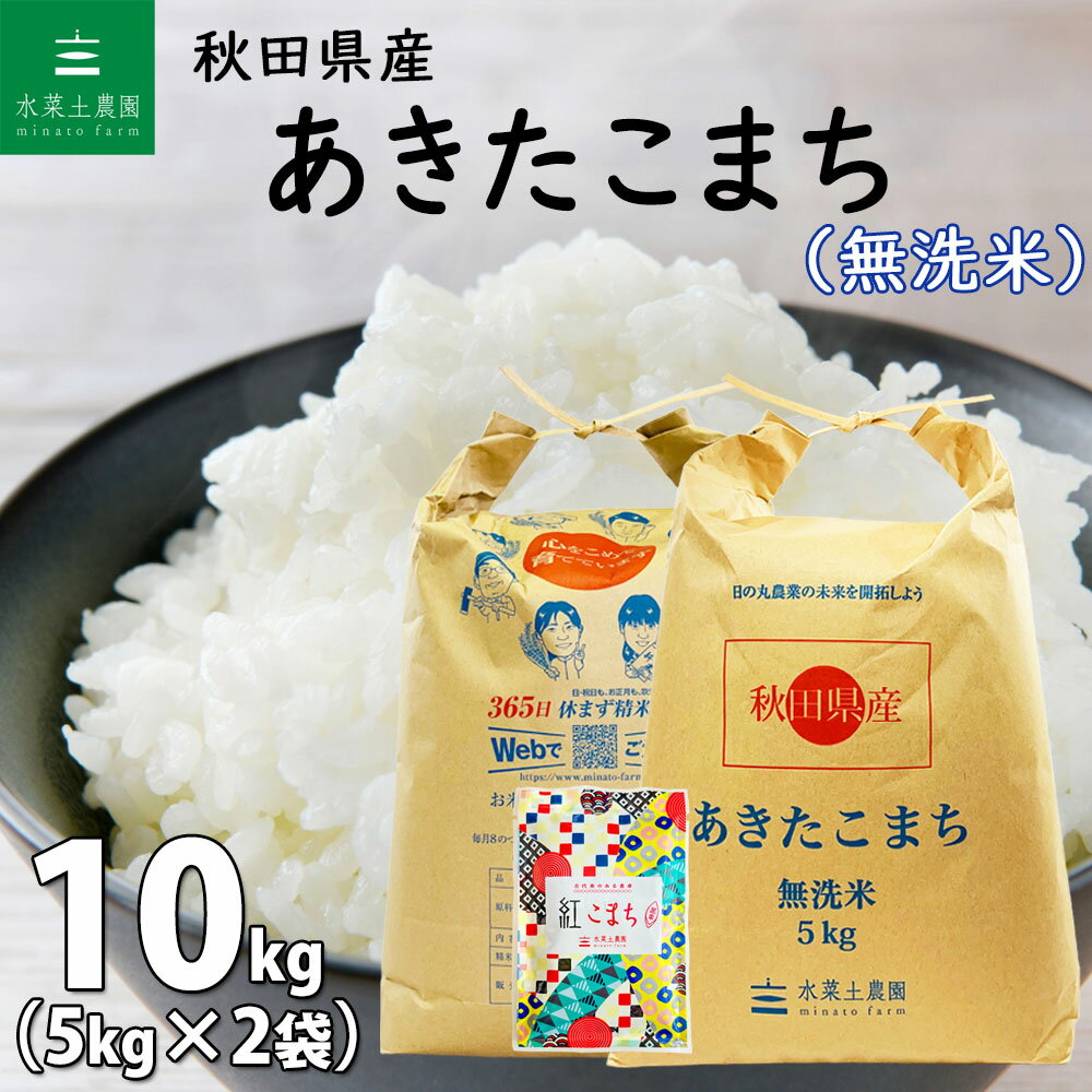 秋田県産 あきたこまち 無洗米10kg（5kg×2袋）令和5年産 古代米お試し袋付き