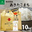 【精米】 秋田県産 あきたこまち 10kg（5kg×2袋）令和5年産 御縁米（縁結び）150g プレゼント付き