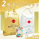 【精米】秋田県産あきたこまち 5kg & ミルキークイーン 5kg 令和5年産 古代米お試し袋付き