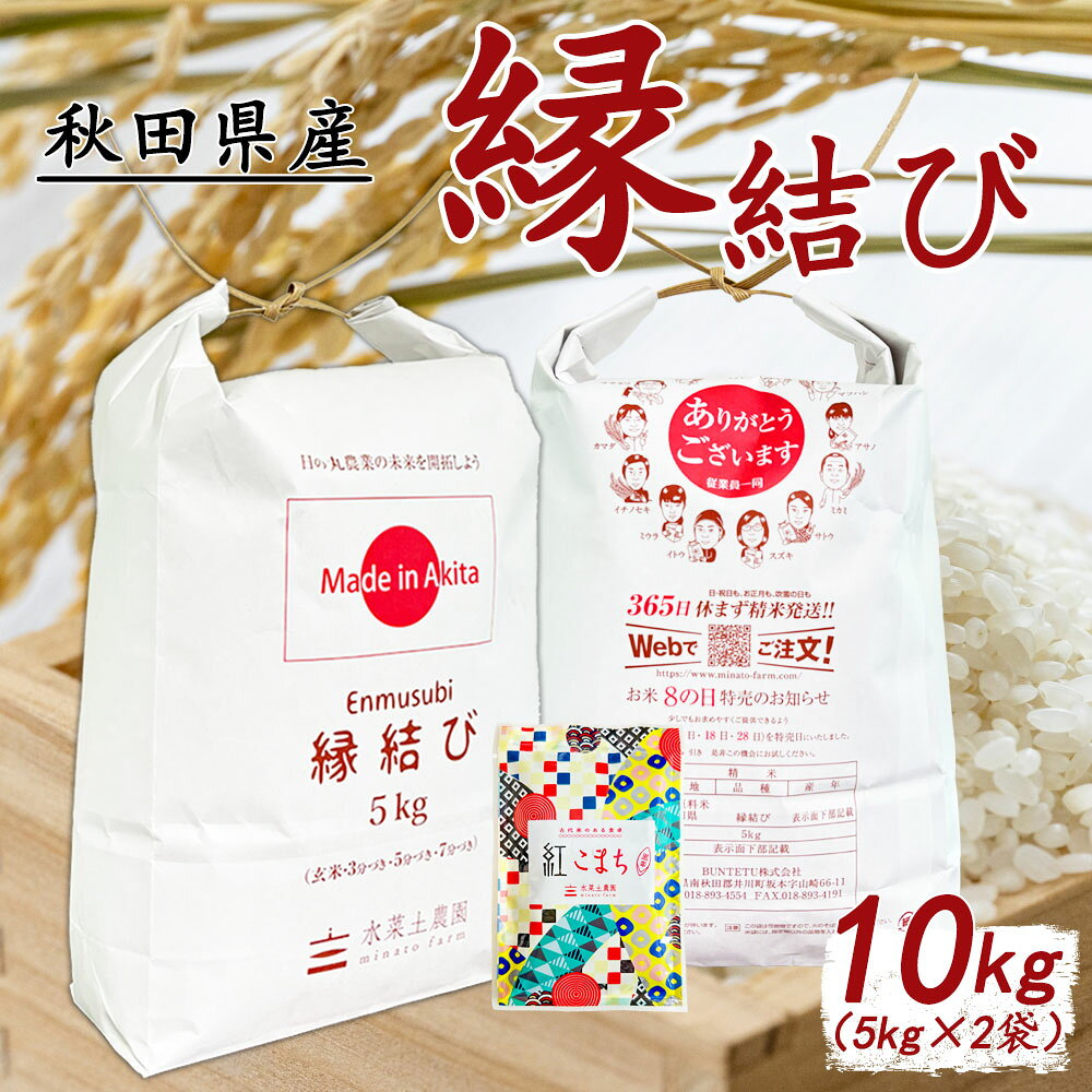 秋田県産 縁結び 精米 10kg（5kg×2袋） 令和7年産 古代米お試し袋付き