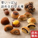 【送料無料】 栗いっぱい 詰め合わせ 栗三昧 栗菓子 4種【栗菓子】母の日 栗 和菓子 ギフト スイーツ 老舗 香川 高級 お取り寄せ 御祝 お祝い 御供 お供え 詰合せ おしゃれ かわいい 可愛い あんこ 手土産 お菓子 贈り物 セット お試し 誕生日 プレゼント 健康 定番商品