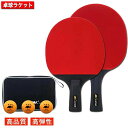 2025最新 卓球 ラケット セット 2本セット 部活 初心者 中級者 大人 3球付き 収納ケース付き ケース 両面 セット 大人 子供 練習用 ファミリー ス...