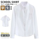 スクールシャツ 長袖 半袖 女の子 制服 学生服 レディース スクールウェア 白シャツ ワイシャツ 学生シャツ JK制服 トップス 通学 通勤 学生 中学生 高校生 春 夏 秋 小学生 女子高生 スクールブラウス 白 ホワイト シャツ 学生用シャツ ビジネス オフィス 入学式 卒業式