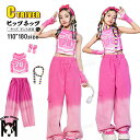 デニムパンツ ピンク グラデーション k-pop 衣装 キッズダンス衣装 セットアップ ヒップホップ キッズ へそ出し トップス ビスチェ タンクトップ 袖カバー チアダンス k-pop 韓国 アイドル 衣装 原宿系 発表会 ストリート HIPHOP 演出会 応援団 ダンスウェア ステージ衣装