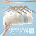 ジュニアブラ 中学生 薄手 接触冷感 ブラ ノンワイヤー 小学生 夏 女の子 スポーツブラ 極薄 ノンワイヤーブラ 少女 ブラジャー ひんやり 冷感ブラ サマーブラ ジュニア 下着 インナー 涼しい
