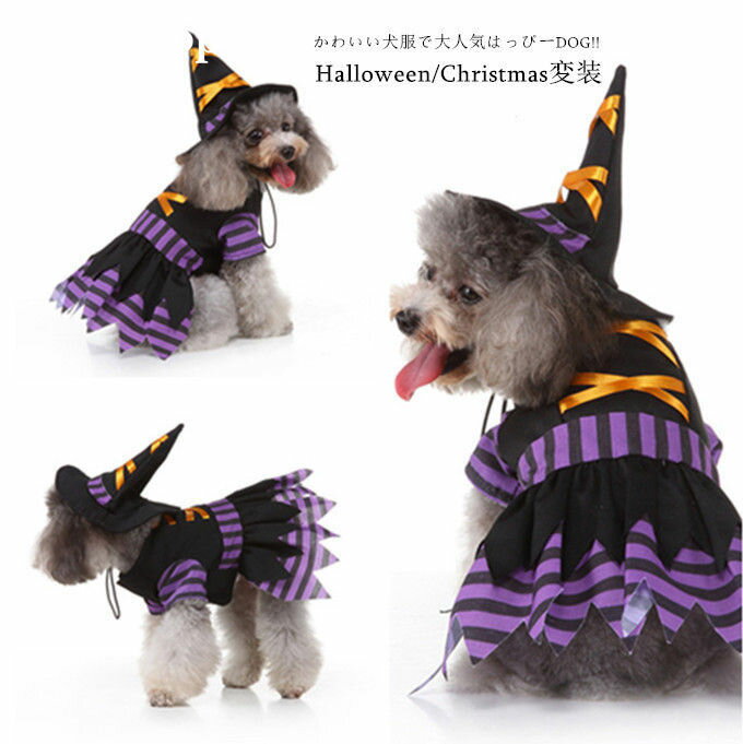 犬服 ドッグウェア パーカー トレーナー スウェット ハロウィン クリスマス 仮装 コスプレ 衣装 飾り X..