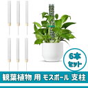 モスポール 支柱 連結可 観葉植物 用 6本セット 園芸 支柱 植物 屋内 室内 つる 鉢植え ガーデニング ささえ ポトス サポート 【送料無料】ctr-l1...