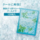 【100個】 クール 爽快シート ボディシート 汗拭きシート 個包装 メントール ハッカ ミント 香り ひんやり 清涼 夏 暑さ対策 クールナウ ホテル アメニティ ノベルティ イベント 業務用 大容量 携帯用 バラまき プレゼント プチギフト