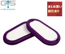 GVS 防じんマスク 交換用フィルタ【セット価格有】エリプス防じんマスクSPR321 P100/RL3