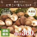 椎茸 300g 原木シイタケ どすこい生しいたけ 肉厚 無農薬 自宅用 おかず 峯 送料無料