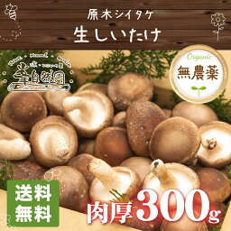 椎茸 300g 原木シイタケ 生しいたけ 肉厚 無農薬 自宅用 おかず 峯 送料無料