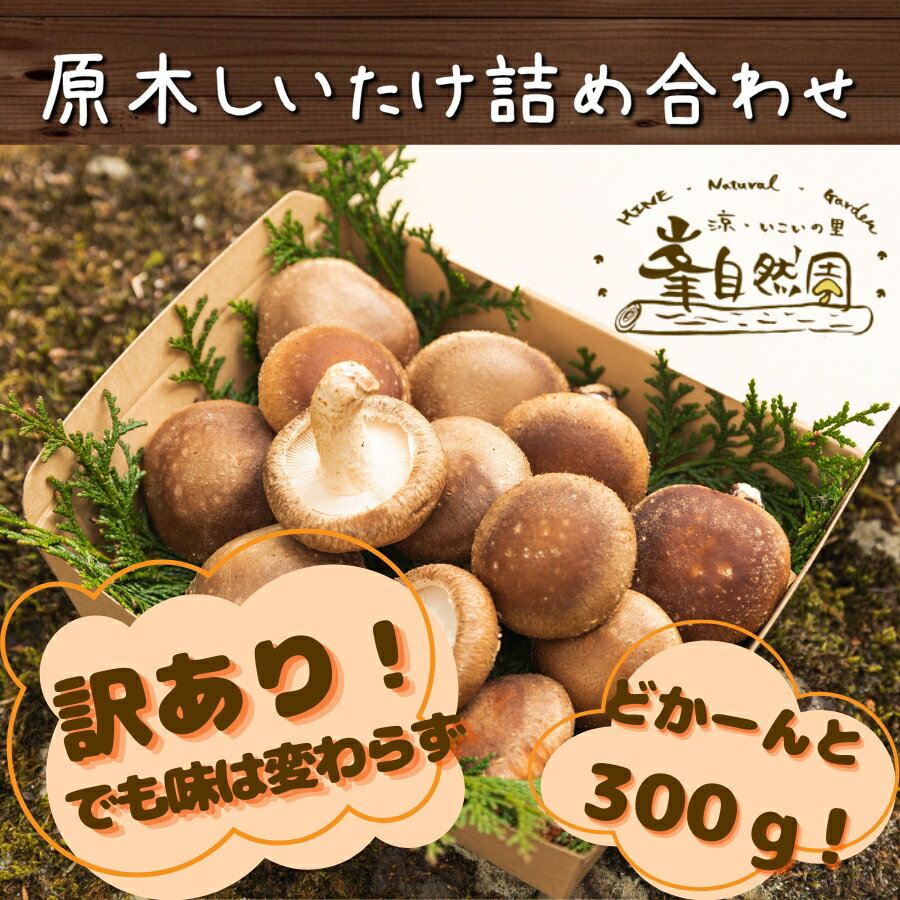 椎茸 訳あり 300g 原木シイタケ 生しいたけ わけあり ワケあり 自宅用 小田原 お得 送料無料