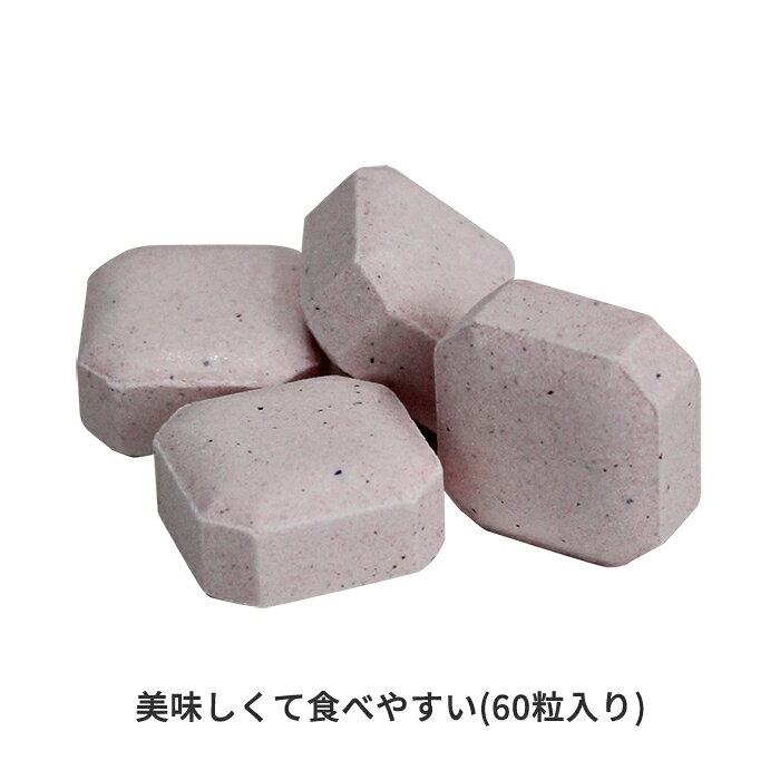 ブロック アルミパック ピンクイオン PINKION 60粒 タブレット ミネラル アミノ酸 ...