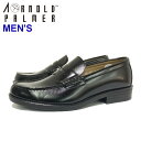 【21%OFF】【新入荷】アーノルドパーマー ARNOLD PALMER AP-1801(3E)男子通学靴 ローファー3E /学生靴 入園 入学