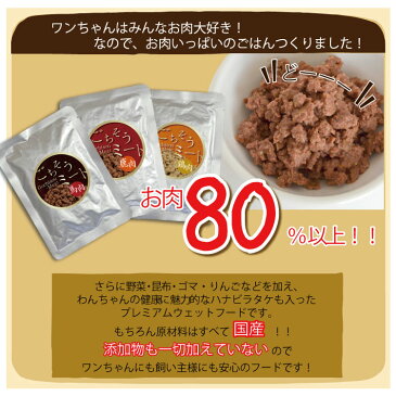 【お試し】ごちそうミートお試しセット 100g×3袋入り 自社工房 手作り ごはん ドッグフード 鶏 馬 鹿 お肉率80%以上 嗜好性抜群 おいしい 人気 免疫力アップ ハナビラタケ入り グルテンフリー 防腐剤不使用 初回限定 送料無料 ※1世帯1回限り1個まで