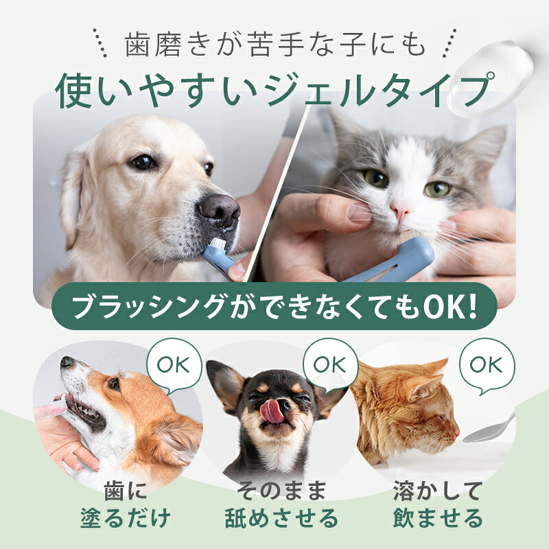 ペットの歯磨きジェル 犬 猫 歯周病 歯周病対策 歯磨きジェル 口腔ケア 口臭改善 口臭 口くさい 歯周病菌 木曽檜 檜蒸留水 - angle 1