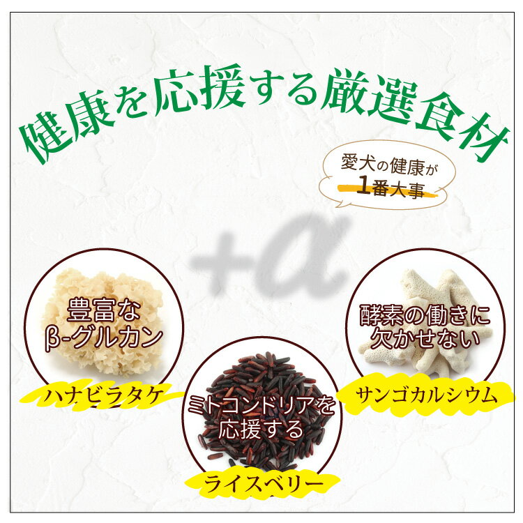 【お試しお一人様1回限り】こだわりの愛犬食 カリカリ 100g/犬 国産 無添加 ドックフード ハナビラタケ入り 免疫力向上 ごはん 健康サポート 腸内環境 おすすめ 人気 おいしい 成犬 老犬 シニア 安全 安心 着色料不使用 初回限定