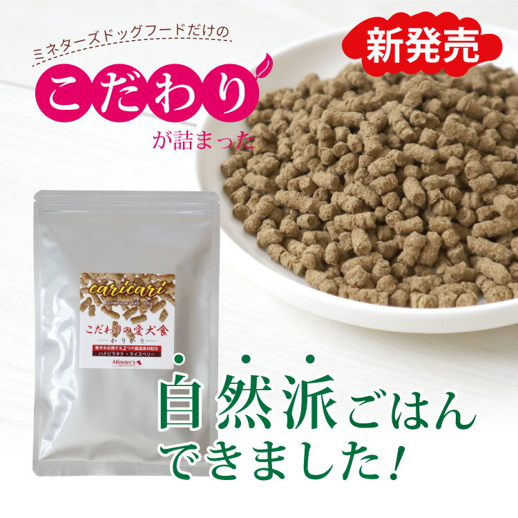 【お試しお一人様1回限り】こだわりの愛犬食 カリカリ 100g/犬 国産 無添加 ドックフード ハナビラタケ入り 免疫力向上 ごはん 健康サポート 腸内環境 おすすめ 人気 おいしい 成犬 老犬 シニア 安全 安心 着色料不使用 初回限定