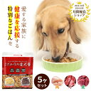 こだわりの愛犬食5個セット/ドッグフードドックフード まとめ買い ハナビラタケ ライスベリー 無添加 免疫力 高齢犬 健康維持 ウエットフード レトルト 保存食...