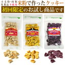 お米のクッキー 50g 3個セット/グルテンフリー プレーン カシス かぼちゃ味 犬 ドッグフード ドックフード 国産 無添加 ハナビラタケ入り 肉,小麦不使用 乳製品不使用 アレルギー対策 メール便 初回限定 送料無料 ※1世帯1回限り1個まで