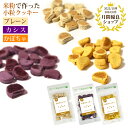 お米のクッキー 50g/犬 ドッグフード ドックフード おやつ 高齢犬 国産 無添加 肉 小麦 乳製品 不使用 アレルギー対策 グルテンフリー 米 ハナビラタケ...