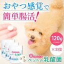 【10%OFF!!】ペットの乳酸菌(120g×3ヶ)/犬 猫 サプリ 乳酸菌 腸内フローラ 腸内環境 ハナビラタケ 相乗効果 フェカリス菌 ペットサプリ 犬用サプリ 犬のサプリ 猫用サプリ 免疫力 腸内環境 改善 オリゴ糖 腸活