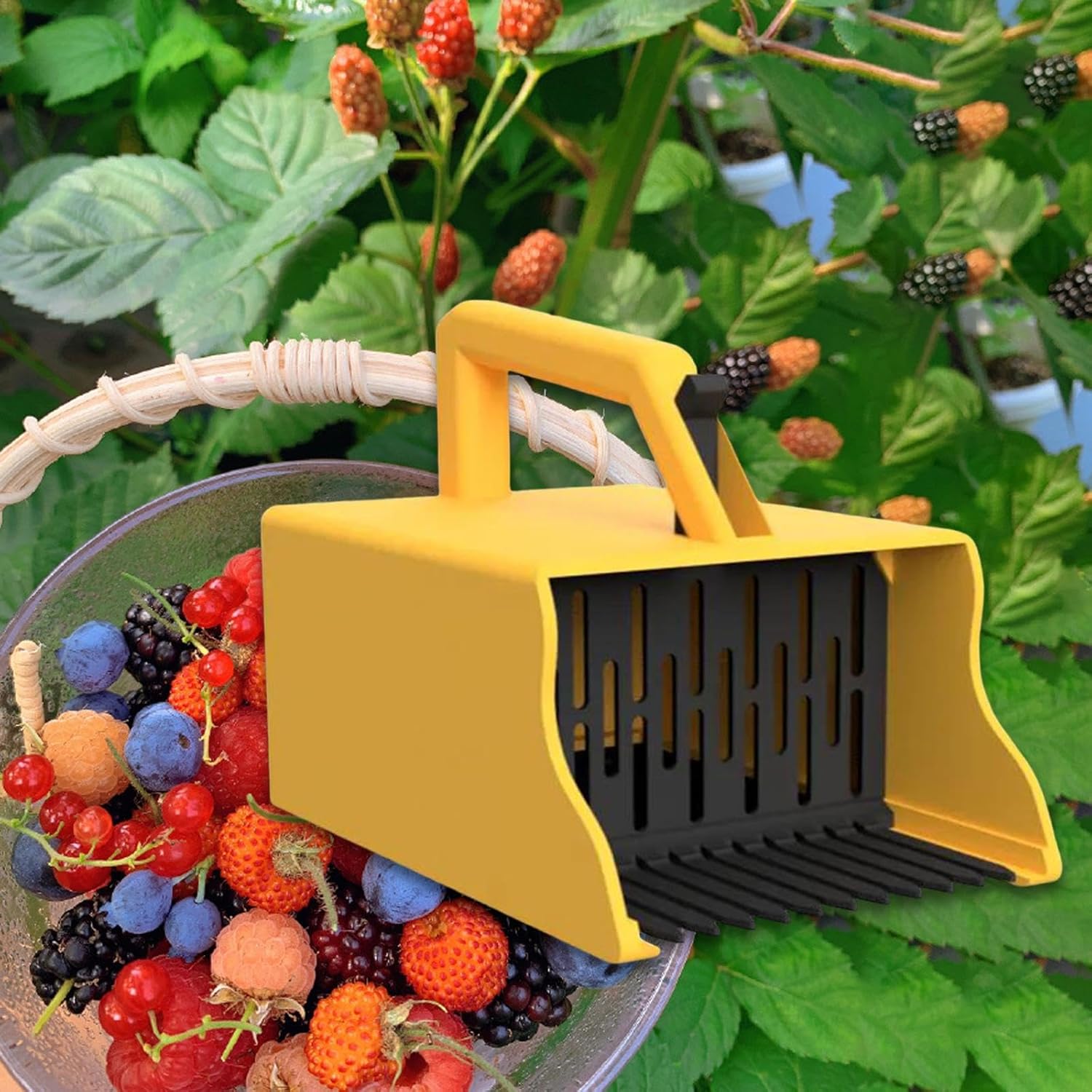 �֥롼�٥꡼�ԥå��� �����ǥ˥󥰥ġ��� �ԥå��󥰥졼�� �����Ѳ�ǽ �٥꡼���쥯���� �֥롼�٥꡼�졼�� �������ץ�󥴥�٥꡼ �ե롼�ĥԥå��� �ԥå��󥰥ġ��� ����Ѷ�