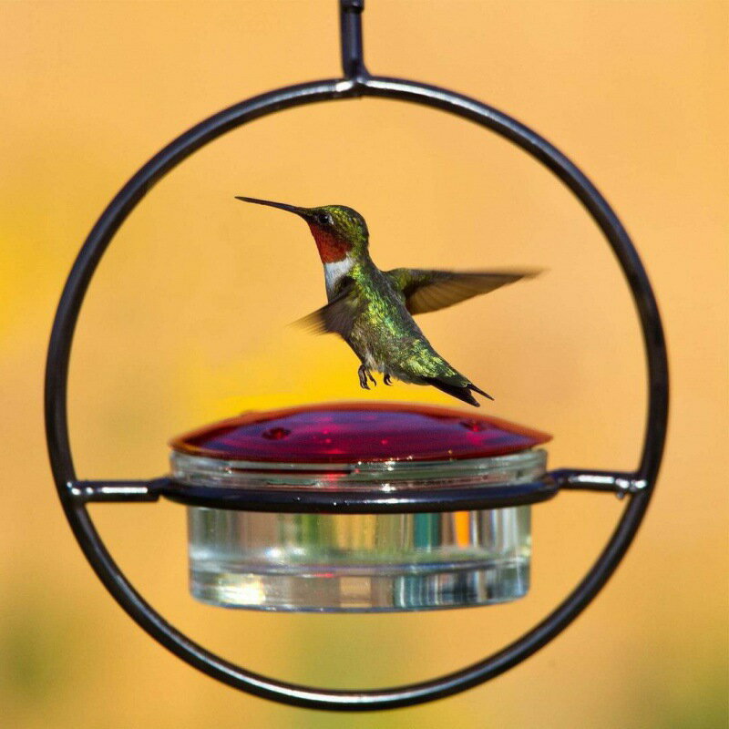 Rakuten - ハチドリフィーダーセット 鳥の餌やりステーション ハンギングフィーダー 漏れにくいデザイン 掃除が簡単 レッド 庭 テラス 裏庭用