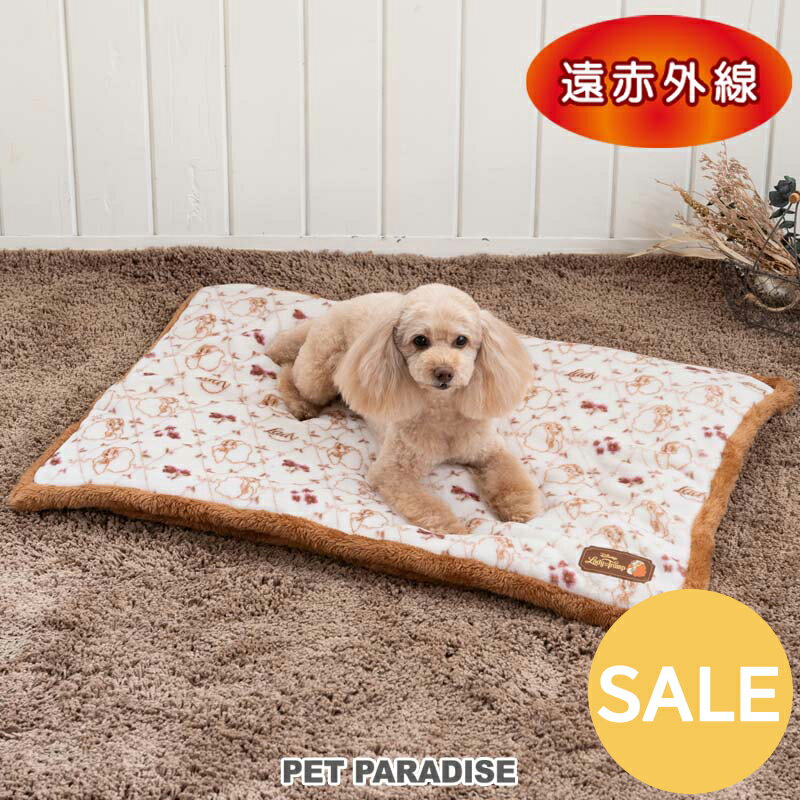 ޥǥڥåȥѥ㤨֡ ǥˡ ǥ  ޥå  ֳ ܥޥå (8060cm | ȥå sale ʸԲġ ʪ ͳѷ   襤 Ȥ ä ݲ ɴ ɴк ǭ ٥åɡפβǤʤ4,039ߤˤʤޤ