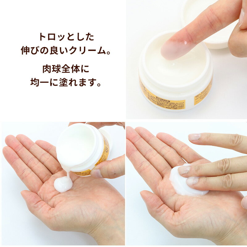 �ڥåȥѥ������ �Ϥ��ߤ����奱�����꡼�� 40mL | �� ����ΤҤӳ�졢�����ե���ȾƤ����ե�������к��ˡ�