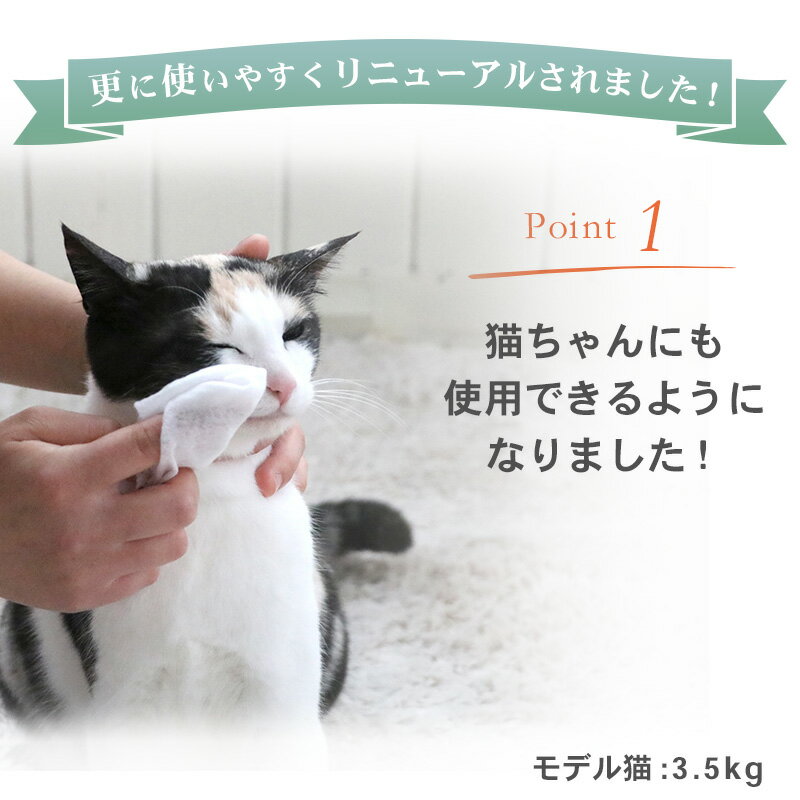 �ڥåȥѥ������ �ڥå��� �ޤ䤱 ���꡼�� �����ȡ�60������ | �� �����åȥ����� �Ȥ��䤹�� �� �������� �ܸ� ���� ǭ��