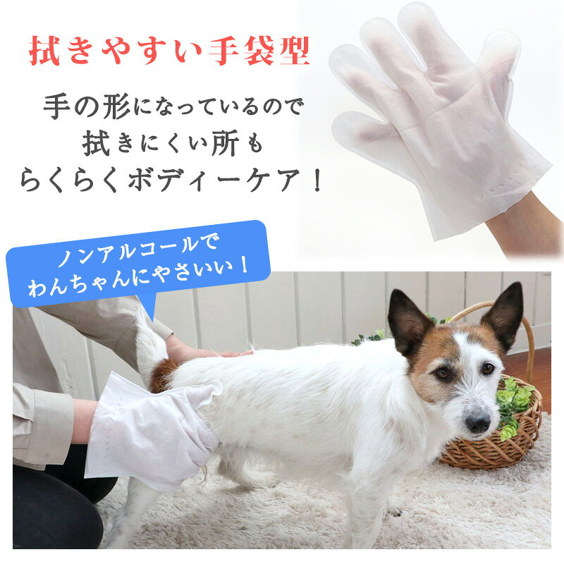 ペットパラダイス 犬 シャンプータオル ボディケアシート 【全犬種用】 10枚入り |...