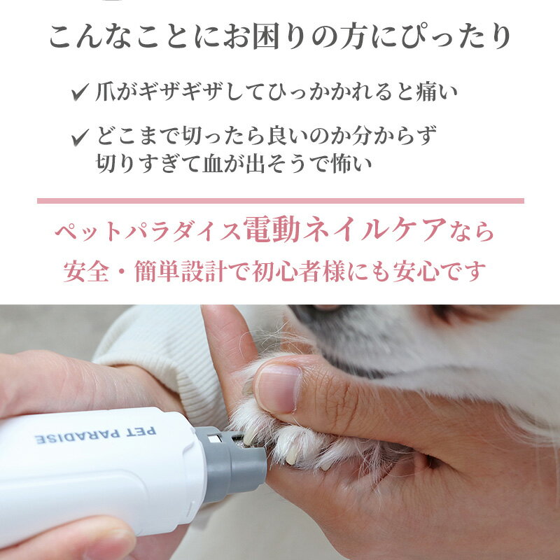 �ڥåȥѥ������ �� �ޤ䤹�� ��ư �����ɥ쥹 �ͥ��륱�� USB���ż� | LED�饤�� ������ ����ѥ��� �� ��ư�ޥȥ�ޡ� �������� �ڥåȥ��� �ڥå��� �ݸ�С��դ� �ʤ�餫